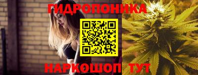 apvp Чебаркуль