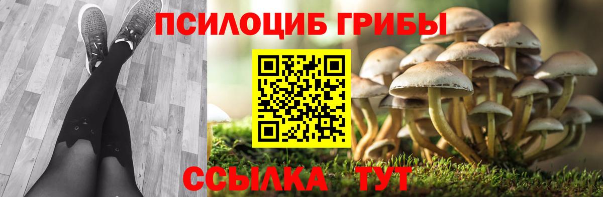 Астрахань  Псилоцибиновые грибы MAGIC MUSHROOMS  купить закладку  Галлюциногенные грибы Cubensis  Вход с VPN 